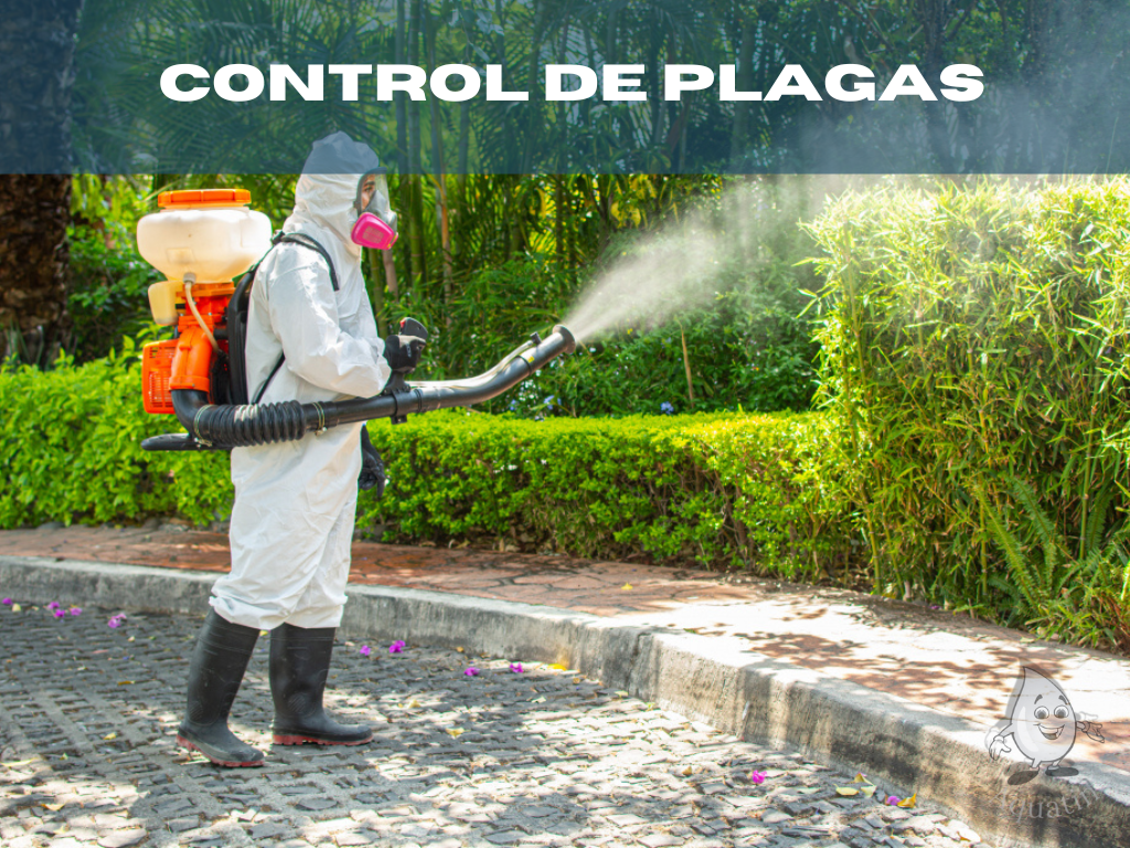 Control de Plagas en condominios